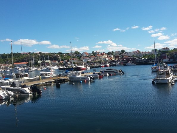 14257526_10153860837521778_5804042076105923493_o