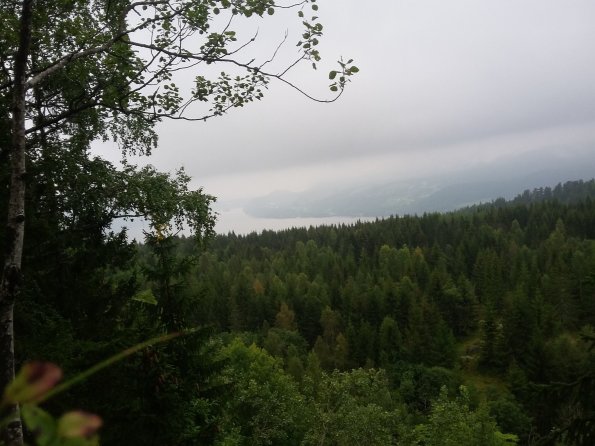 14257562_10153860836916778_1410208208422264103_o