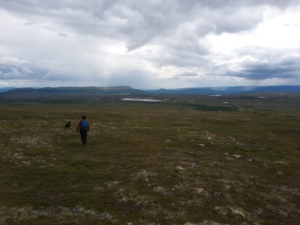 14305393_10153860836751778_349066052135312710_o