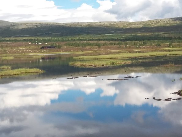 14324257_10153860809156778_5887324596679311020_o